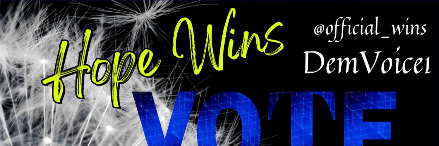 Hope Wins 🌊 #DemVoice1 Profile Banner