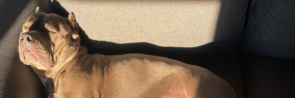 BriSuarezM's profile banner image