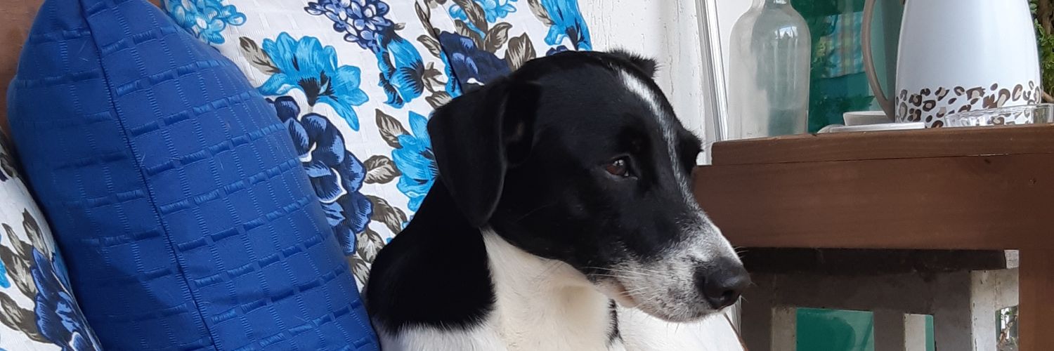 bruninhaveleda's profile banner image