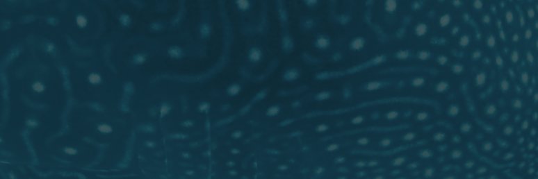 Liminal Creations banner