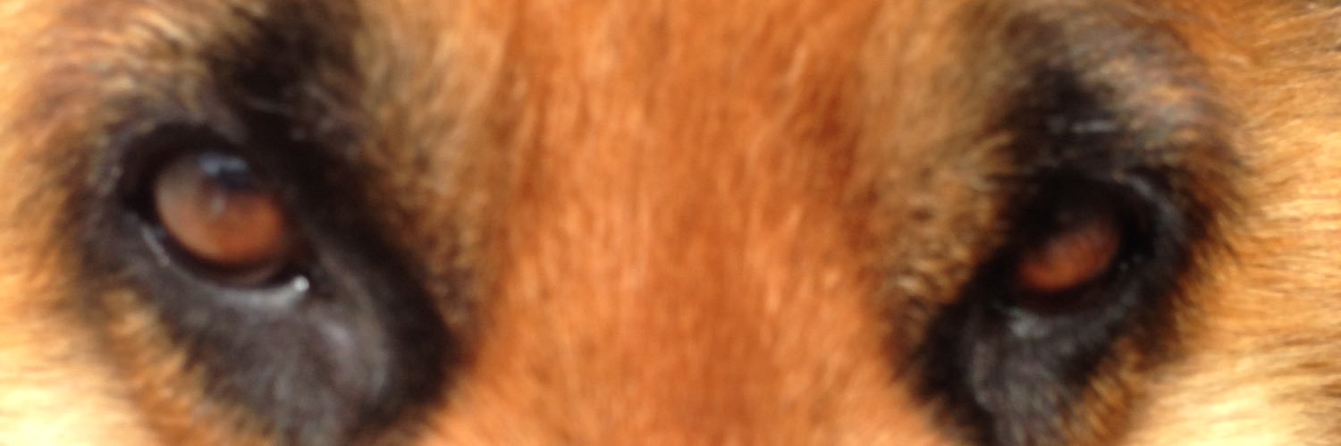 𝓖𝓲𝓪𝓷𝓷𝓲 𝓛𝓪𝓰𝓸 ®️ 🇮🇹 banner