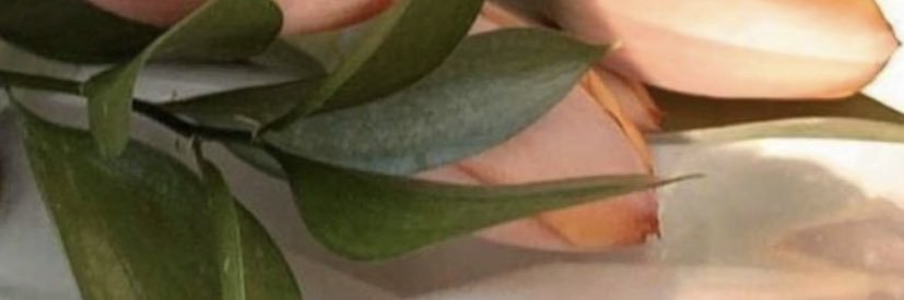 Smasem_S's profile banner image