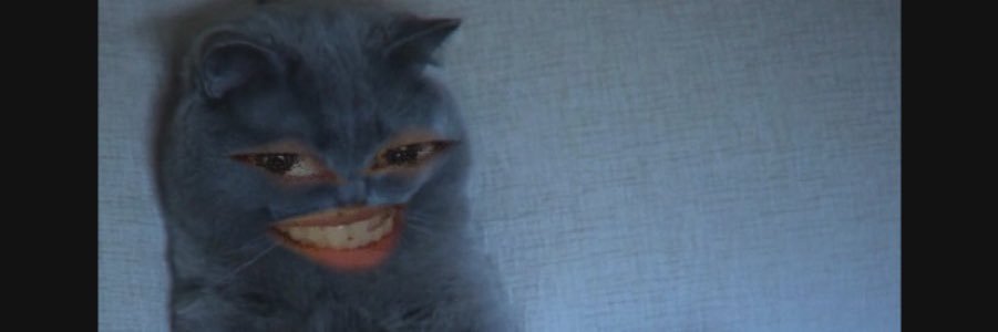 ranzeybell_'s profile banner image