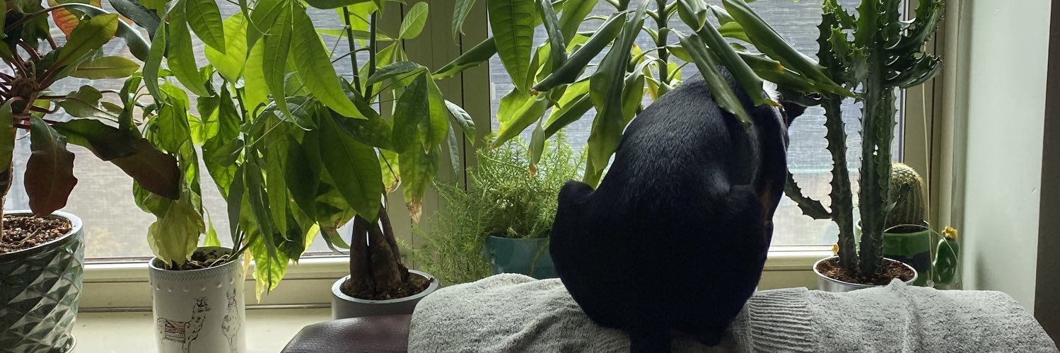 EPietrantone's profile banner image