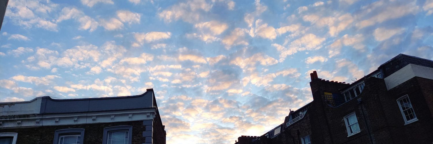 Dr Andrea Werner banner