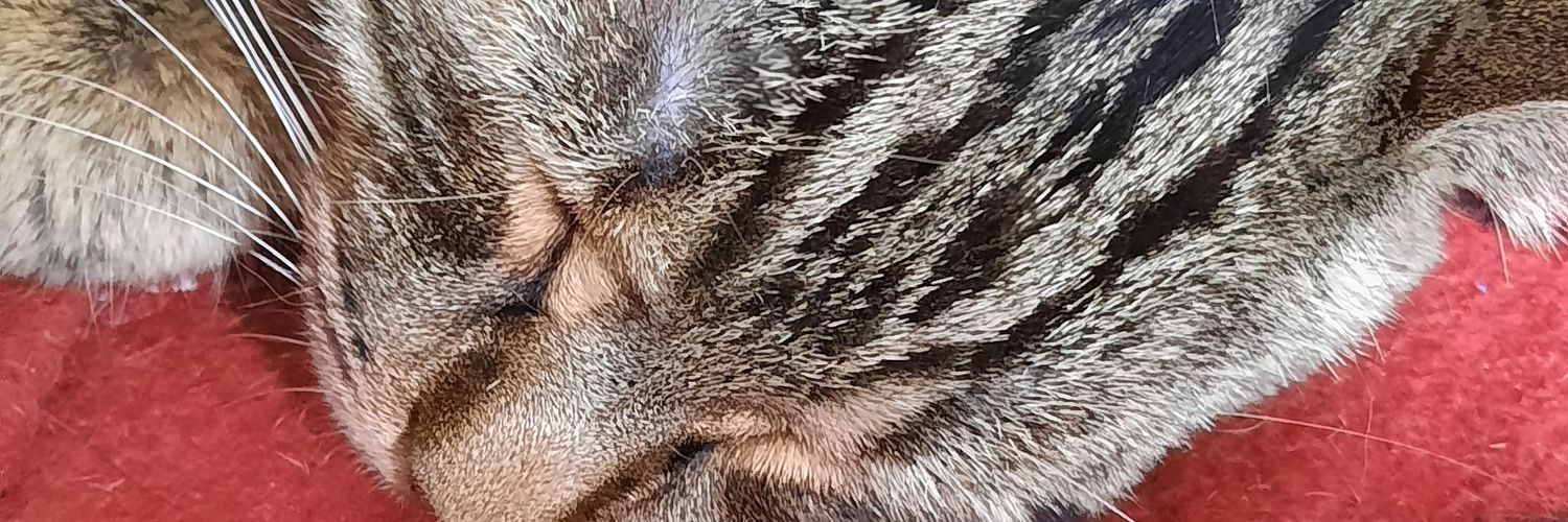 tggertim's profile banner image