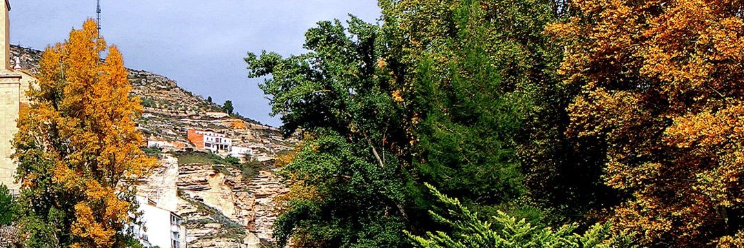 Ροδρίγεζ🌾 banner