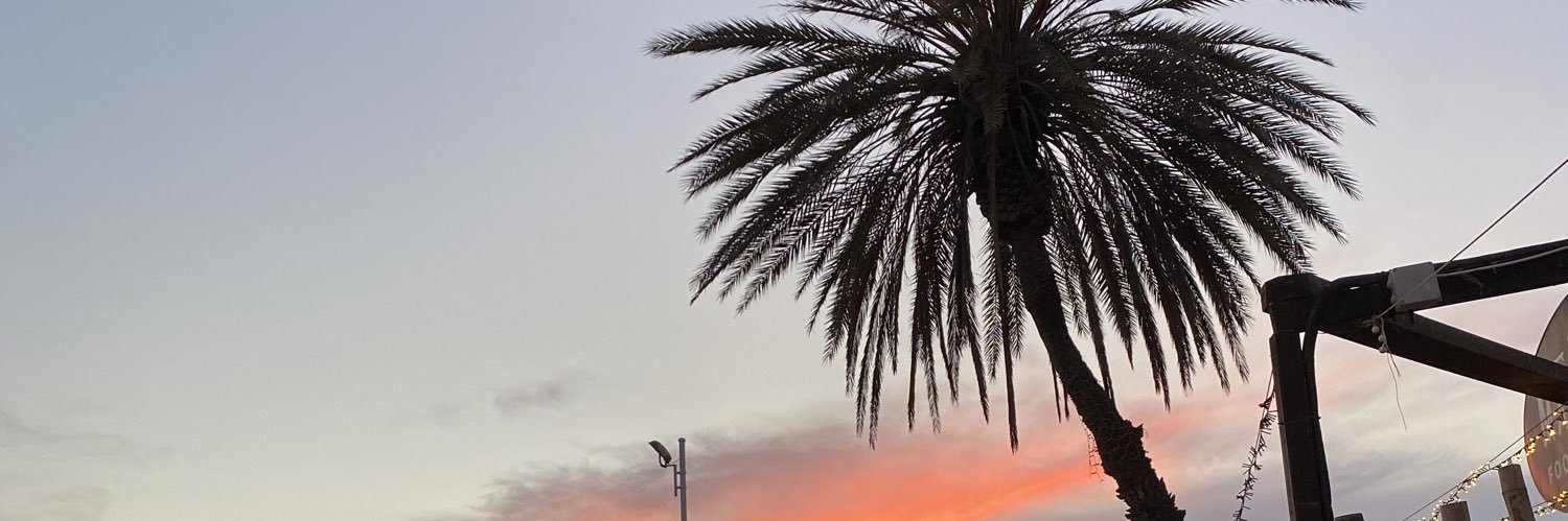 M a r t a banner