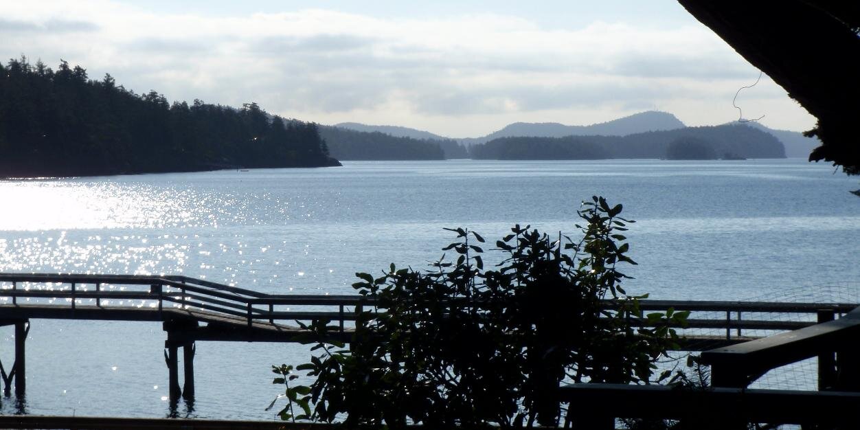 Arbutuspoint's profile banner image