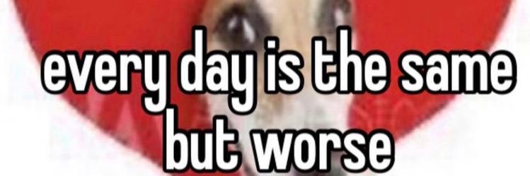 gimmehash's profile banner image