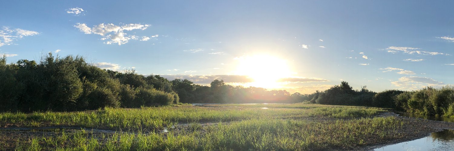 Danielle Durán banner