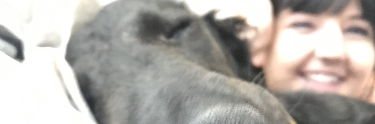 taylorjoyfull's profile banner image