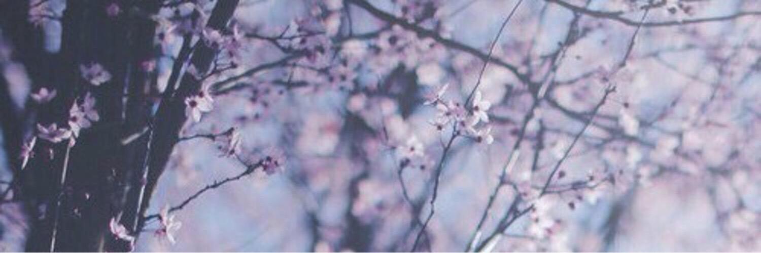 alaa_almazyad_'s profile banner image
