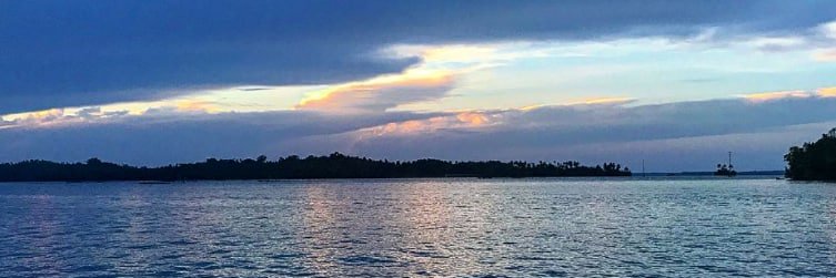 tjfs_t's profile banner image