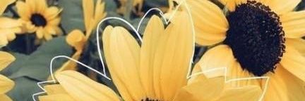 FreeSmooches's profile banner image