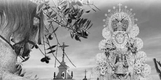 MiguelFlamen's profile banner image