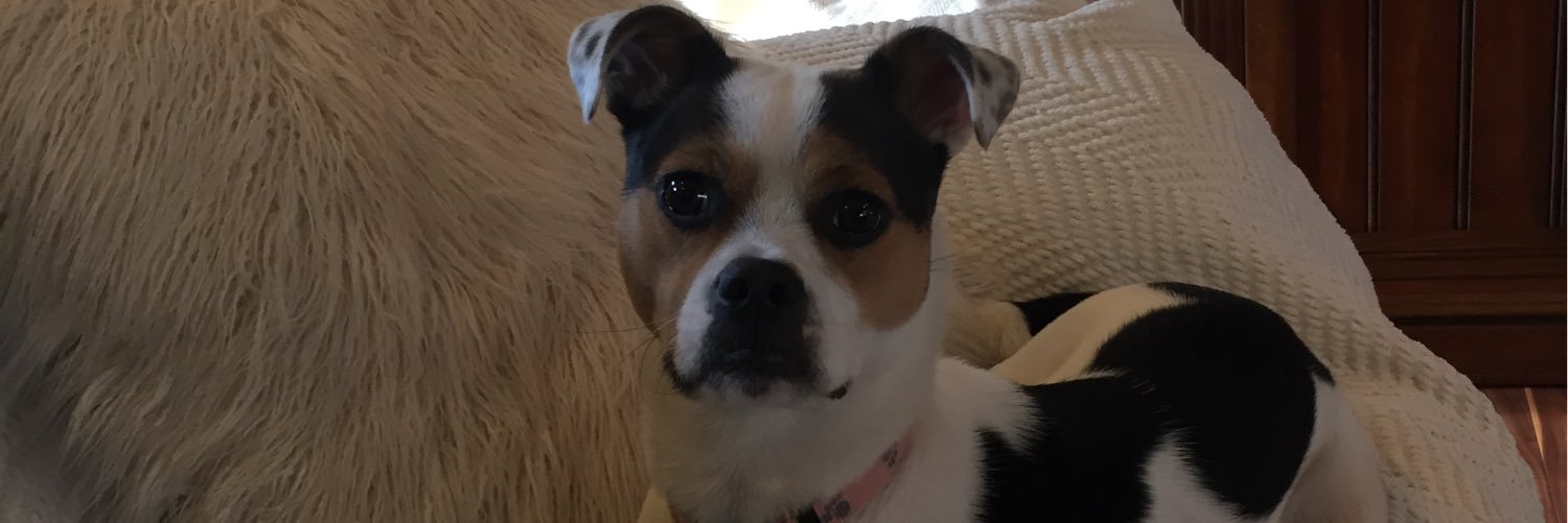 laurendoz's profile banner image