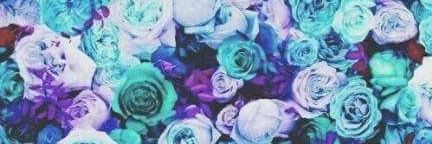 Ross0064's profile banner image