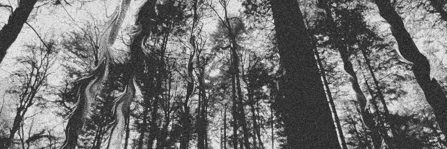 parallelparke's profile banner image