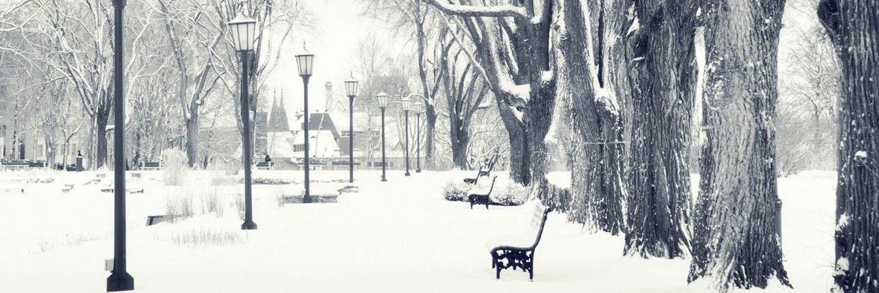 TheLadyT (parody fan account) banner