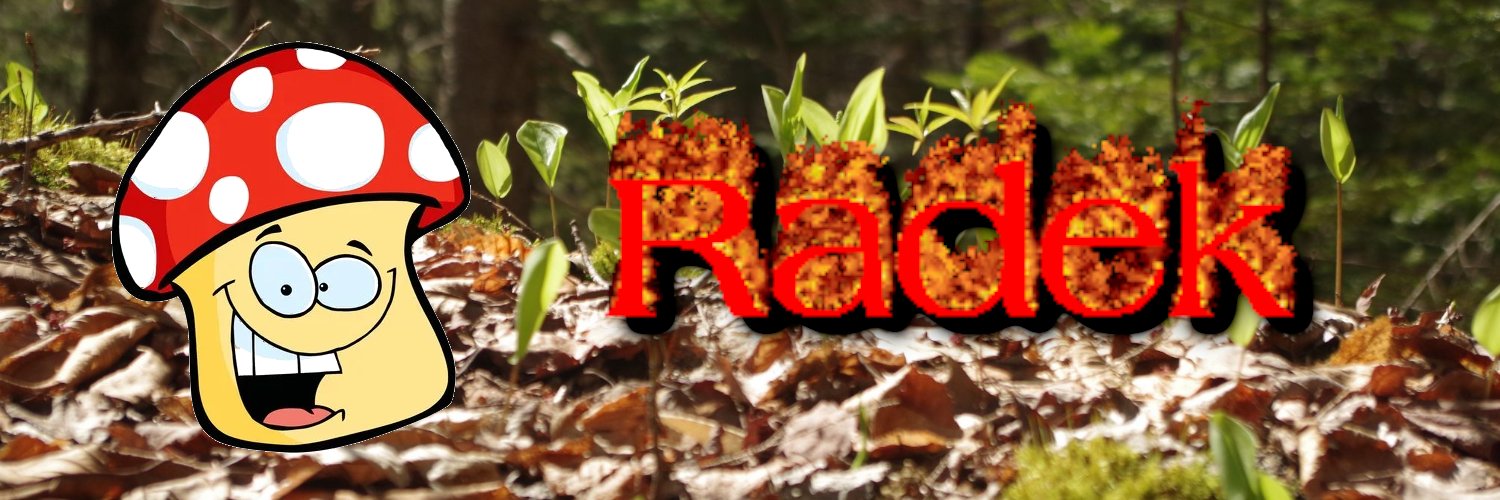 Radek banner