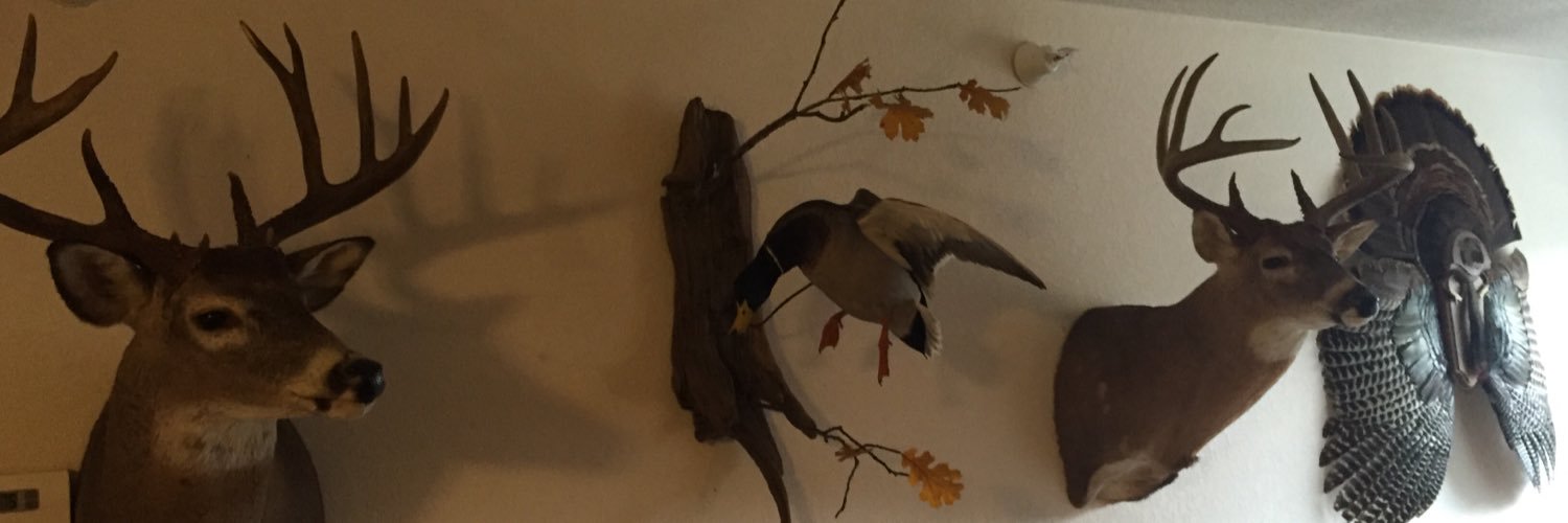 BowEli's profile banner image
