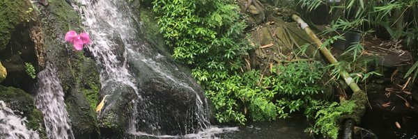 sapphicdruids Profile Banner