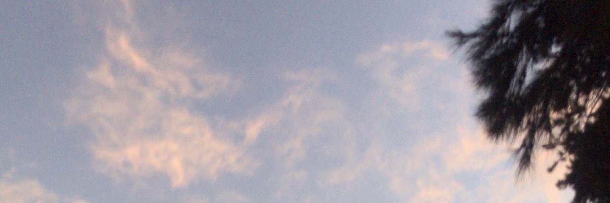 MaleeZecchi's profile banner image