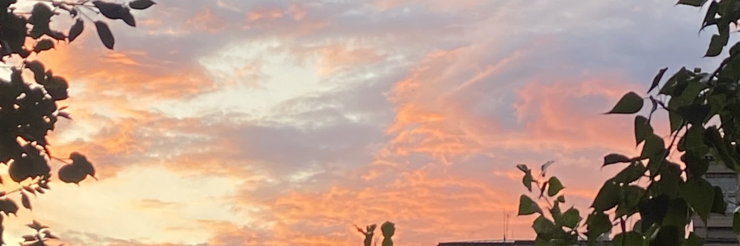 ealsi's profile banner image