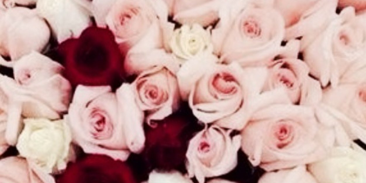Pinsypones's profile banner image