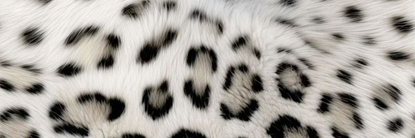 K1TTYK4TS Profile Banner