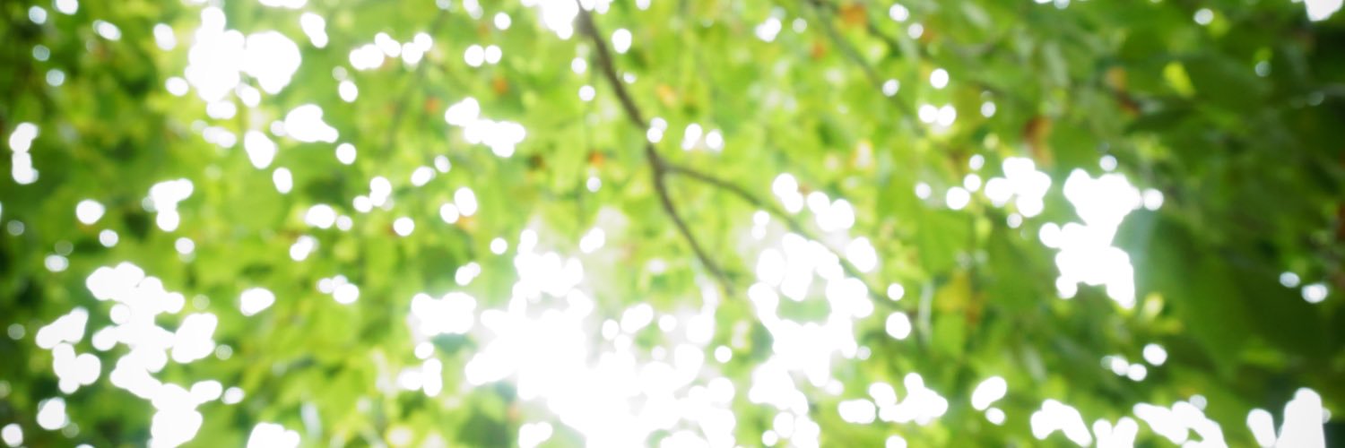 lieim's profile banner image