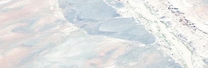 따잔 banner