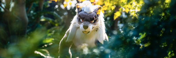 Rouanfursuit Profile Banner