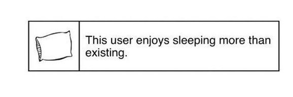 Cilo 𝜗𝜚˚⋆ banner