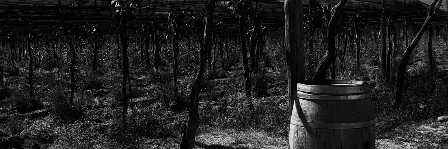 florperez0098's profile banner image