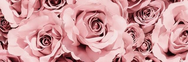 Hannah_Pier's profile banner image