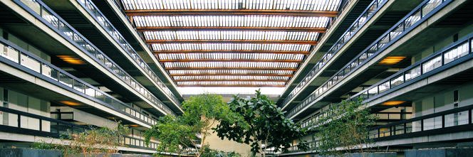 Shredder: Thoughts of a Poli Sci Guy banner