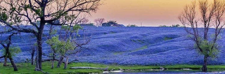 Michael Smith banner