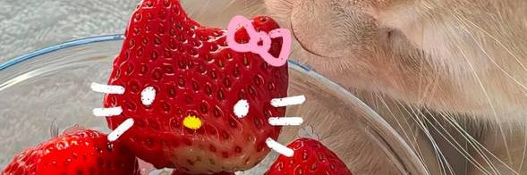 zucki's profile banner image