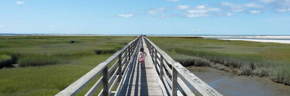 Sander Happaerts banner