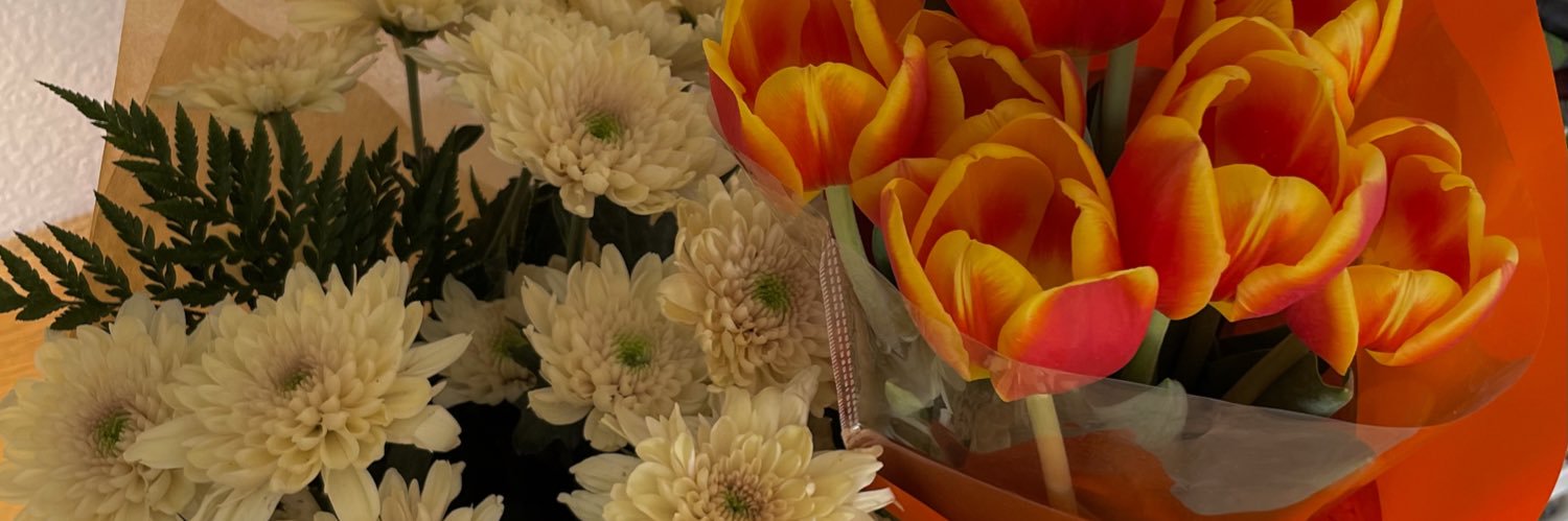sofii ۞ banner