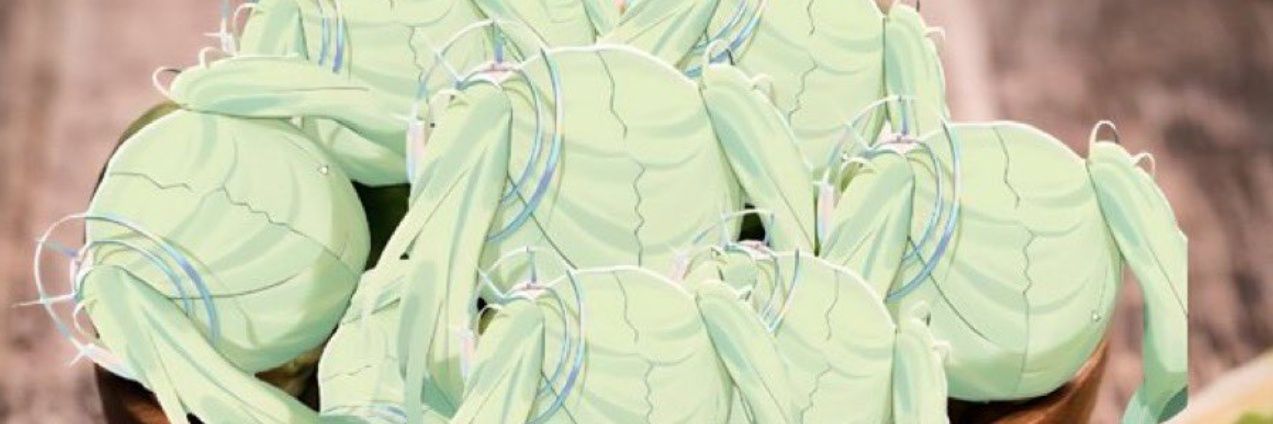 천화 banner