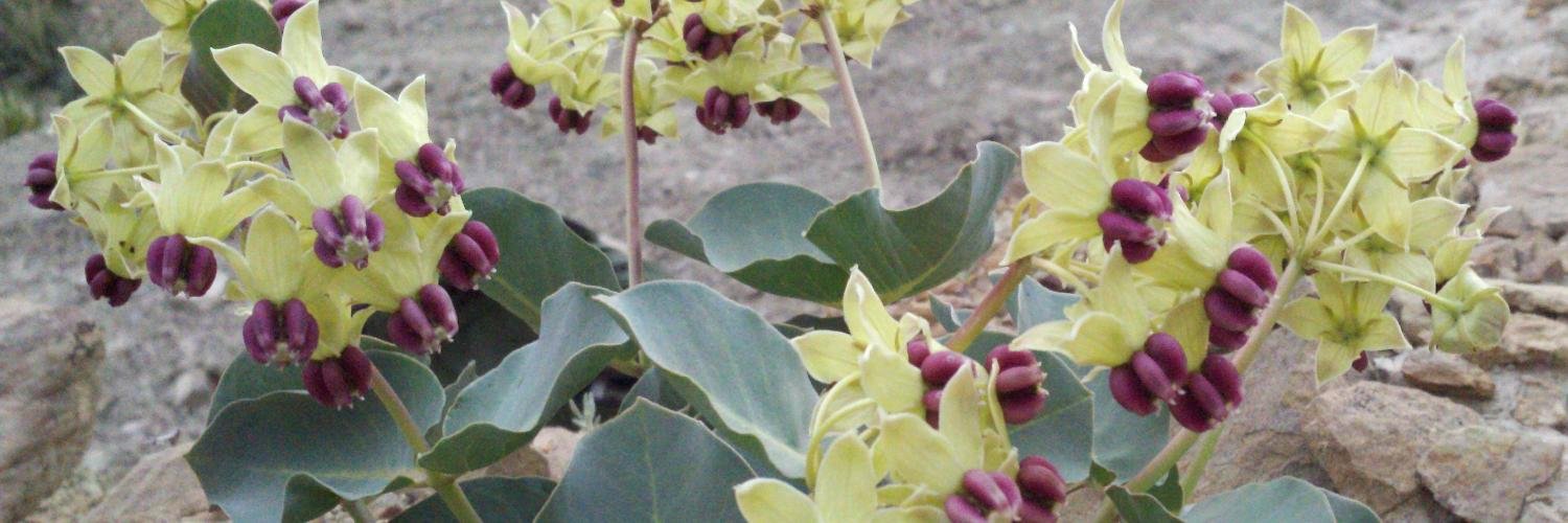 Kevin Weitemier banner