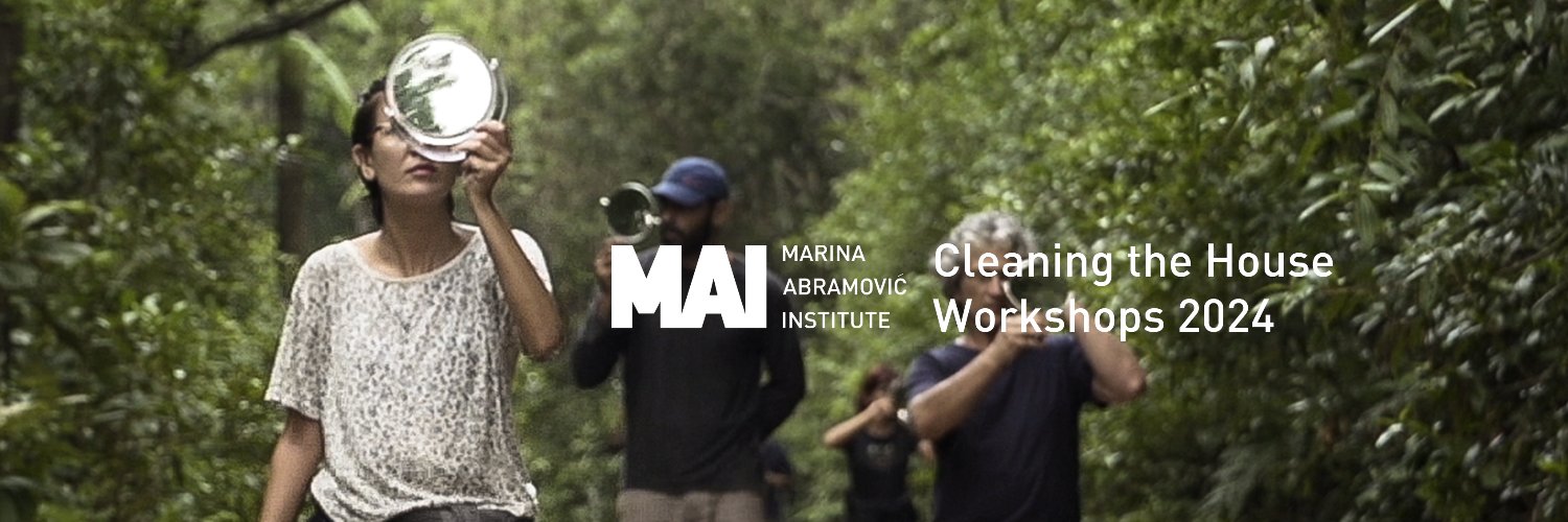 Marina Abramović Institute banner