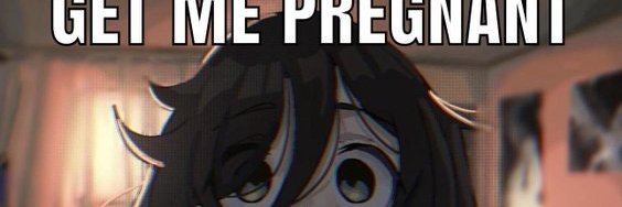 Lexi banner