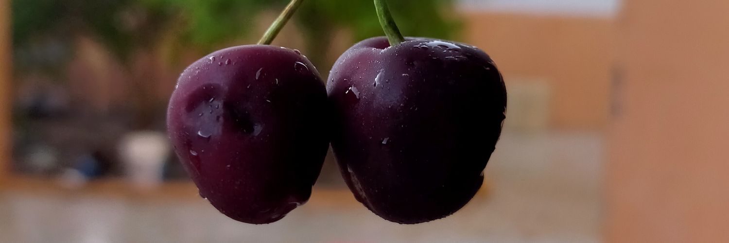 tot__94's profile banner image