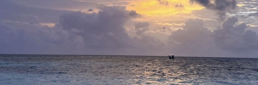S A N D E E banner