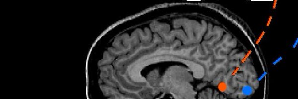 ShaGilDot Profile Banner