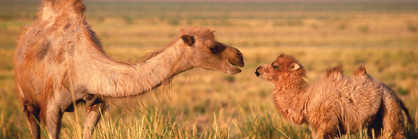 Nadja Lubiw-Hazard 🇺🇦 banner